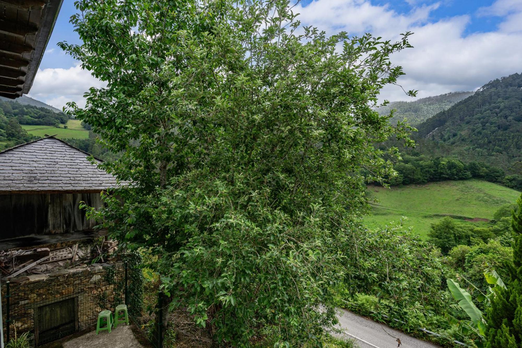 Maseda 1 Villa Villayon Exterior photo